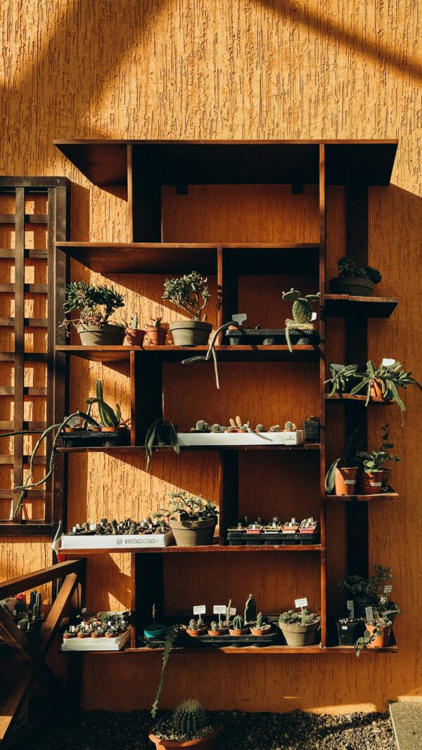 Wall Books