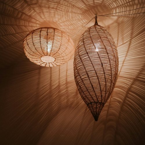 honey cane lights $49