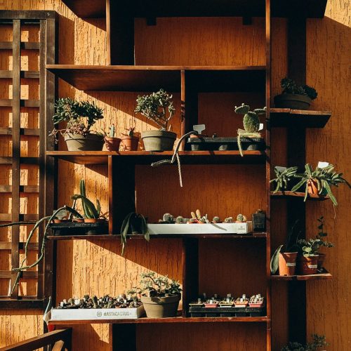 wall books $200